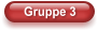Gruppe 3